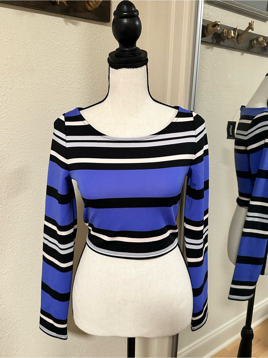 Express Size Xs Striped Long-Sleeve Crop Top In Blue